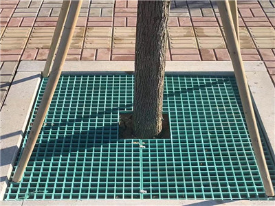 ƴ  ̻   Ѩ