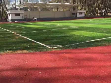 甘肃硅pu塑胶球场造价