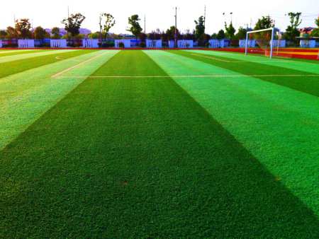 兰州人工草皮施工