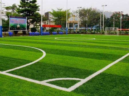 金昌幼儿园人造草坪价格