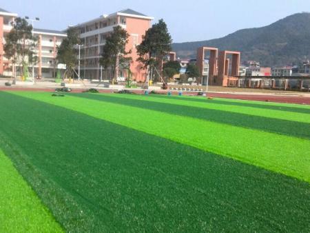 嘉峪关高尔夫人造草坪施工方案