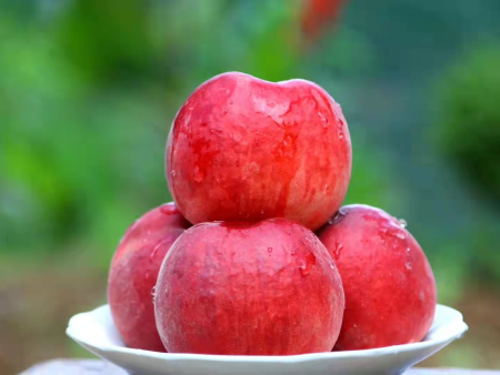 ������������Ӳ�ժ