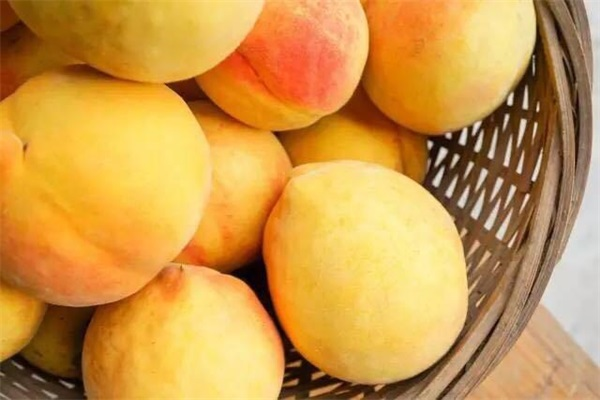 ������ɫˮ�������ĸ�Ʒ�ֺó�