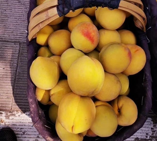 �Ĵ�ũ����������