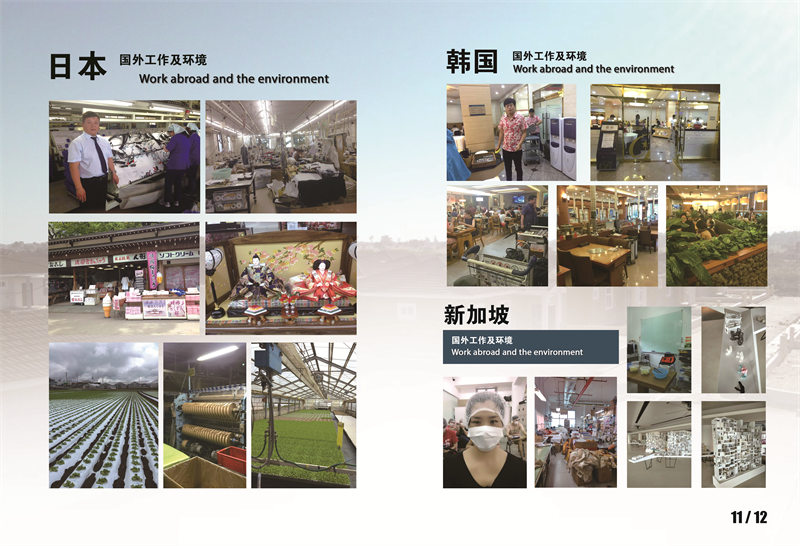 陕西个人档案托管服务,养老保险代缴怎么办理