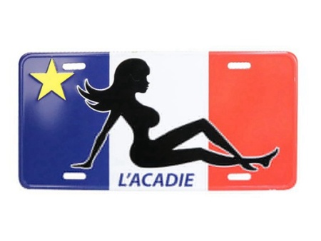 山西车牌边框定制,外贸摩托车车牌采购