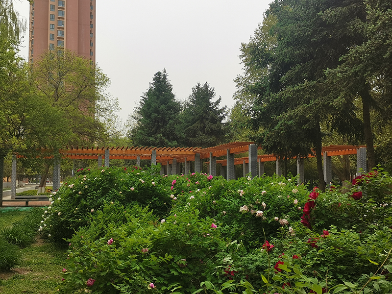 兰州自建小院景观多少钱