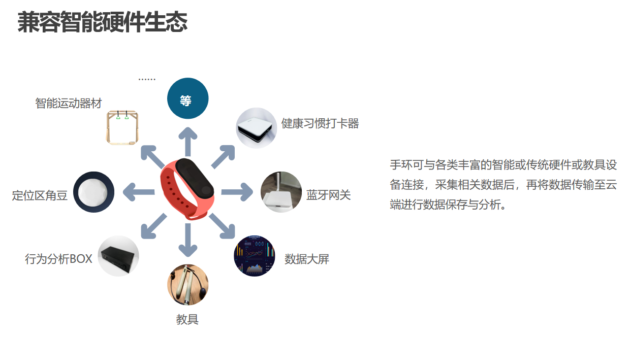温州幼儿运动数据采集系统建设网络公司